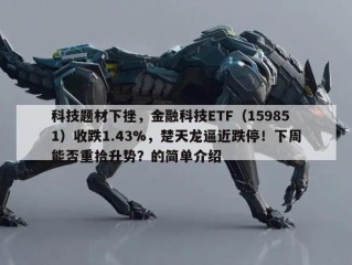 科技题材下挫，金融科技ETF（159851）收跌1.43%，楚天龙逼近跌停！下周能否重拾升势？的简单介绍