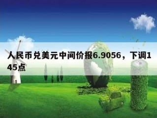 人民币兑美元中间价报6.9056，下调145点