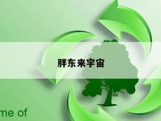 胖东来宇宙