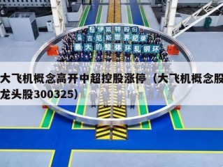 大飞机概念高开中超控股涨停（大飞机概念股龙头股300325）