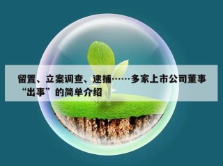 留置、立案调查、逮捕……多家上市公司董事“出事”的简单介绍